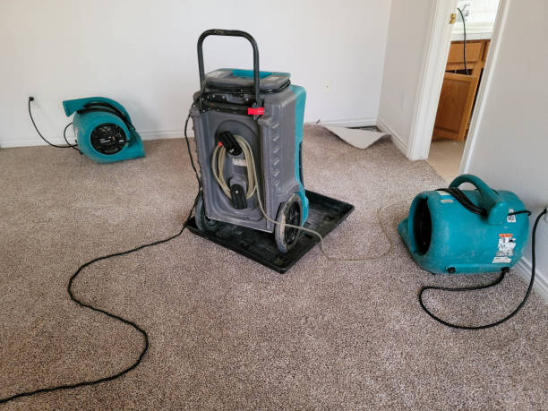 Best Flooded house restoration  in Timpson, TX