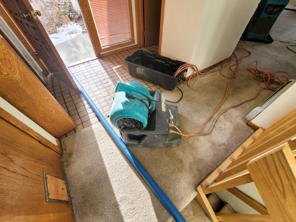 Best Residential water damage restoration  in Timpson, TX
