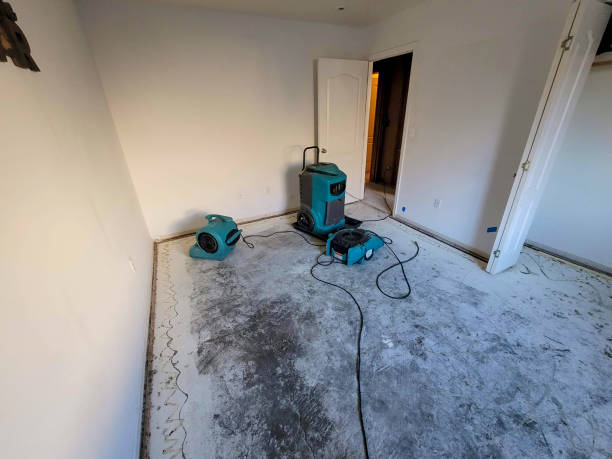 Best Commercial water damage restoration  in Timpson, TX