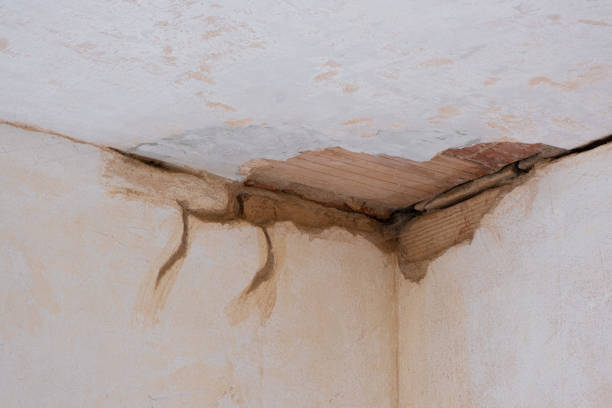 Best 24/7 water damage repair  in Timpson, TX