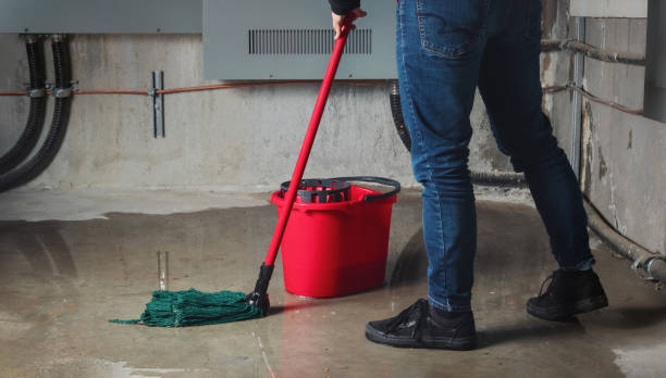 Best Flood damage cleanup  in Timpson, TX