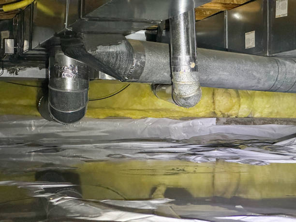 Best Local water damage restoration  in Timpson, TX