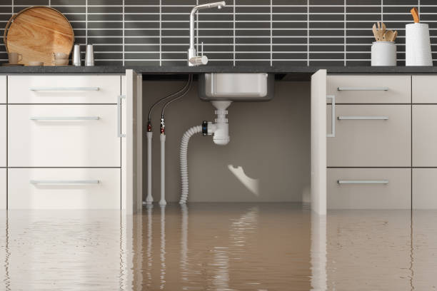  Timpson, TX Water damage restoration Pros