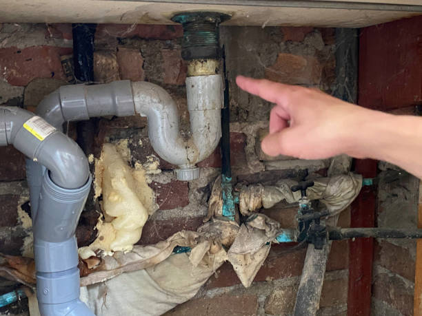 Best Water damage restoration near me  in Timpson, TX